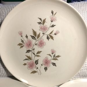 🛍️Pink Floral 10-1/4" DINNER PLATE~Taylor Smith & Taylor~Ever Yours WILD QUINCE